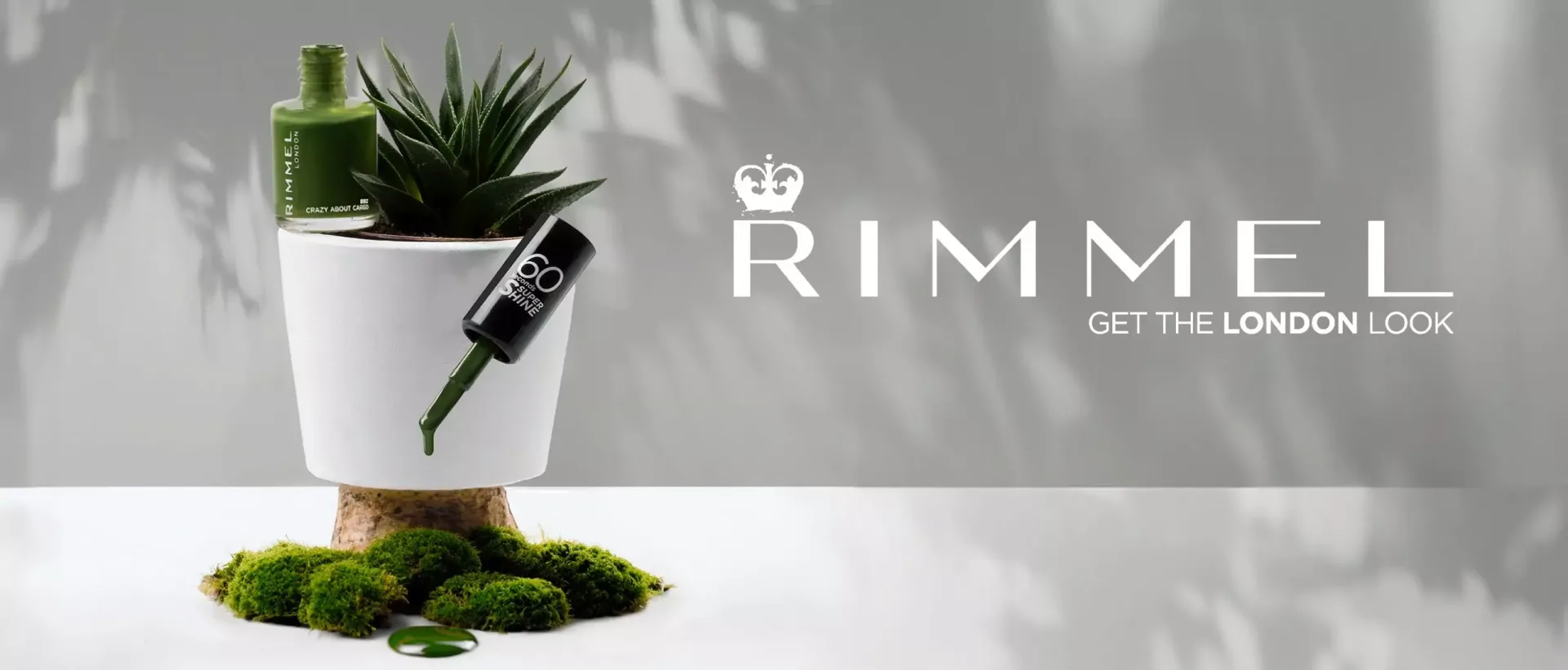Rimmel green nail polish bottle with applicator brush dripping onto a potted succulent plant with moss